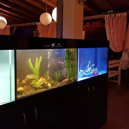 Magic Dreams Sveti Vlas